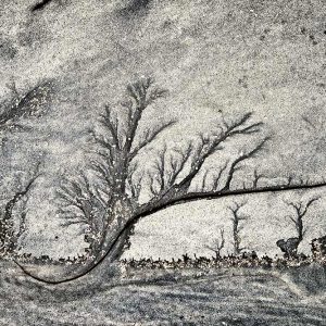 Sands of Time | Limited Edition | Patrick Donald Sands of Time | Limited Edition | Patrick Donald