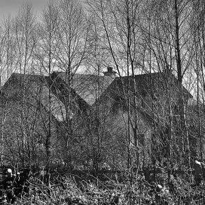 Humble Abode | Limited Edition | Patrick Donald