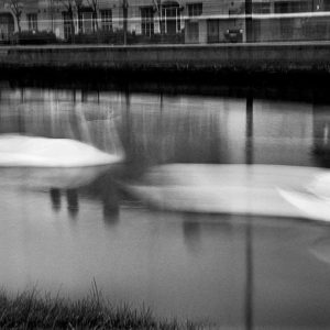 Time Lapse Study | Limited Edition | Patrick Donald Time Lapse Study | Limited Edition | Patrick Donald