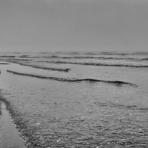 Nature & Nurture | Limited Edition | Patrick Donald