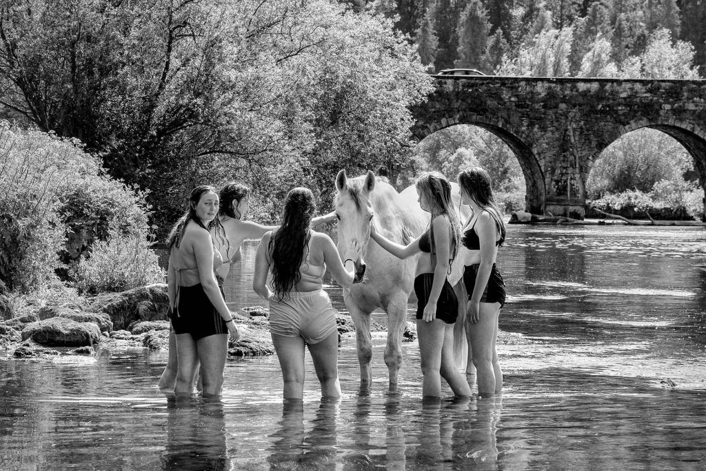 Exploring the Allure of Fine Art Photography