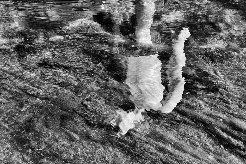 What makes a Successful B/W Photograph?