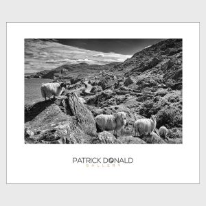 Berra Peninsula, West Cork | Poster | Patrick Donald Berra Peninsula, West Cork | Poster | Patrick Donald