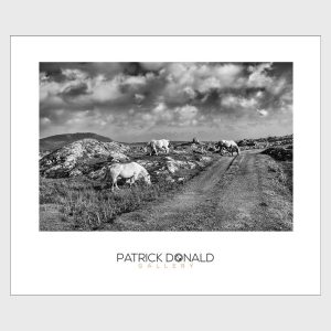 Connemara Dreaming | Poster | Patrick Donald Connemara Dreaming | Poster | Patrick Donald