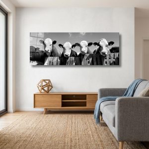 Curious Cows | Acrylic Finish | Patrick Donald