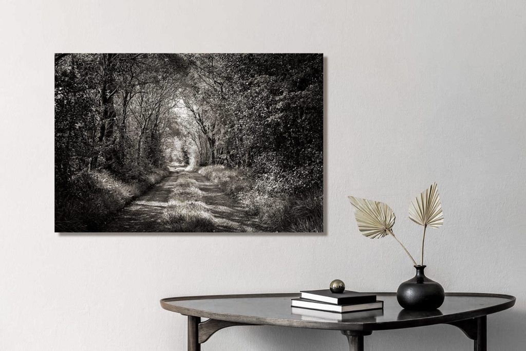 “The Extra Window Effect of our Photography of Ireland”