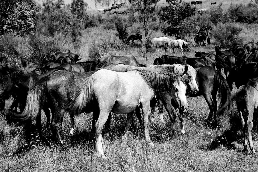 Embracing New Destinations: A Photographer’s Journey