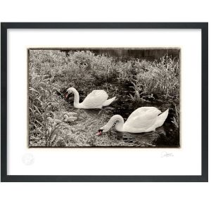 River Nore Scene | Signature Print | Patrick Donald