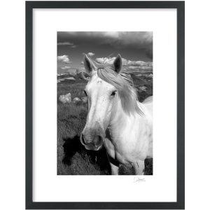 Connemara Portrait | Signature Print | Patrick Donald