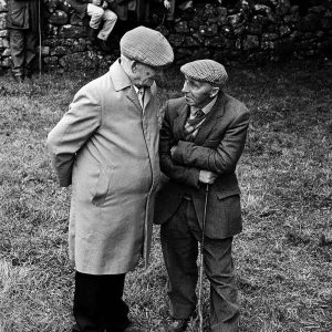 Spancil Hill Horse Fair | Limited Edition | Patrick Donald