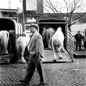 Smithfield Horse Fair #2 | Limited Edition | Patrick Donald