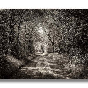 ‘The Road Less Travelled’ | Acrylic Finish | Patrick Donald
