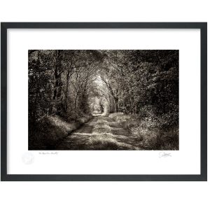 ‘The Road Less Travelled’ |  Signature Print | Patrick Donald