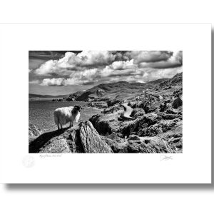 Ring of Berra, West Cork | Framed Print | Patrick Donald