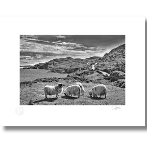Ring of Beara Peninsula | Signature Print | Patrick Donald