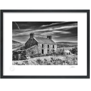 Allihies Horse, Beara Peninsula | Signature Print | Patrick Donald