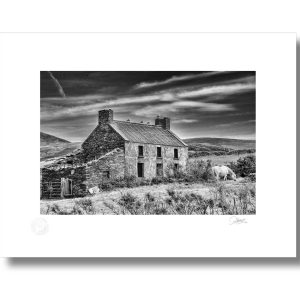 Allihies Horse, Beara Peninsula | Signature Print | Patrick Donald