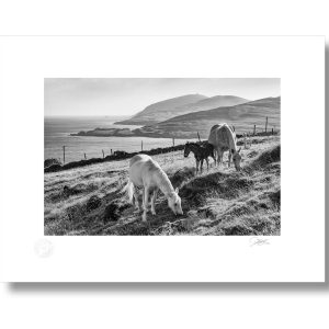 Towards Dursey Island, West Cork | Signature Print | Patrick Donald