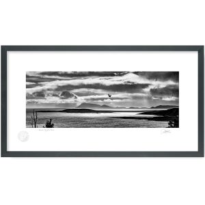 Kenmare Bay | Patrick Donald