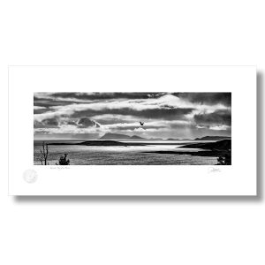 Kenmare Bay | Patrick Donald