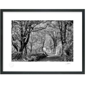 Scilly Walkway, Kinsale, Cork | Signature Print | Patrick Donald Scilly Walkway, Kinsale, Cork | Signature Print | Patrick Donald