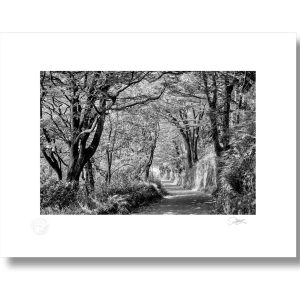 Scilly Walkway, Kinsale, Cork | Signature Print | Patrick Donald Scilly Walkway, Kinsale, Cork | Signature Print | Patrick Donald