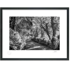 Sandycove Drive, Kinsale | Signature Print | Patrick Donald Sandycove Drive, Kinsale | Signature Print | Patrick Donald