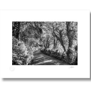 Sandycove Drive, Kinsale | Signature Print | Patrick Donald Sandycove Drive, Kinsale | Signature Print | Patrick Donald