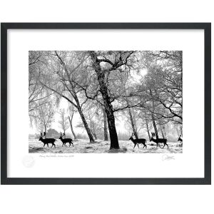 Phoenix Park, Winter Scene 2010 | Signature Print | Patrick Donald