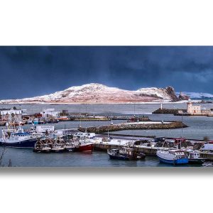 Howth Harbour, Co Dublin | Acrylic Finish | Patrick Donald
