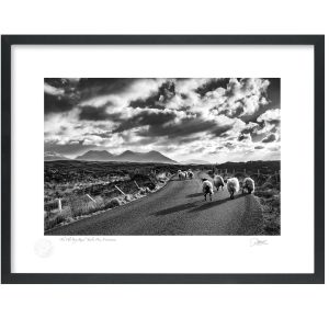 The Old Bog Road, Connemara, Co Galway |  Signature Print | Patrick Donald