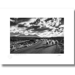 The Old Bog Road, Connemara, Co Galway |  Signature Print | Patrick Donald