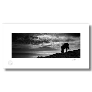 Black Beauty, Connemara Scene | Framed Photograph | Patrick Donald