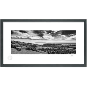 Dolan Connemara, Galway | Signature Print | Patrick Donald