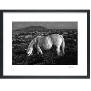 Wild Heart of The West | Signature Print | Patrick Donald