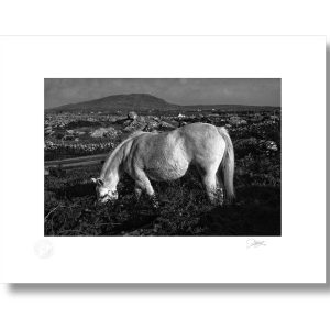 Wild Heart of The West | Signature Print | Patrick Donald