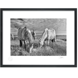 Essence of Connemara | Photograph | Patrick Donald Essence of Connemara | Photograph | Patrick Donald