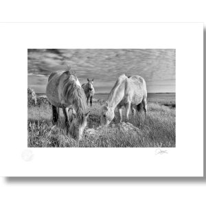 Essence of Connemara | Photograph | Patrick Donald Essence of Connemara | Photograph | Patrick Donald