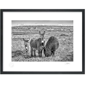 Aran Island Donkey’s | Signature Print | Patrick Donald Aran Island Donkey’s | Signature Print | Patrick Donald
