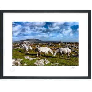 Connemara Horses | Signature Print | Patrick Donald