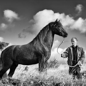 Roundstone Horse, Connemara | Limited Edition | Patrick Donald