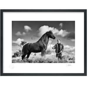 Roundstone Horse, Connemara | Limited Edition | Patrick Donald