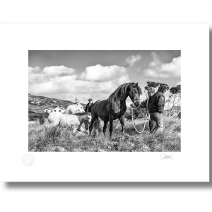 Roundstone Pony Show | Signature Print | Patrick Donald