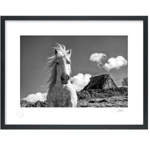 Aran’s Windswept Wonder | Signature Print | Patrick Donald