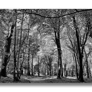 Woodstock Inistioge Co Kilkenny | Acrylic Finish | Patrick Donald