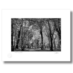 Woodstock, Inistioge, Co Kilkenny | Photograph | Patrick Donald