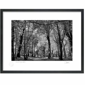 Woodstock, Inistioge, Co Kilkenny | Photograph | Patrick Donald