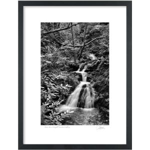 Browns Barns Waterfall, Woodstock, Kilkenny | Signature Print | Patrick Donald
