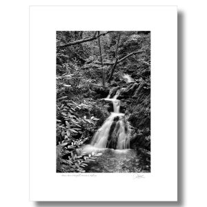 Browns Barns Waterfall, Woodstock, Kilkenny | Signature Print | Patrick Donald