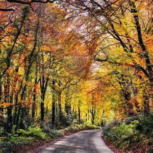 Dysart, Co Kilkenny | Framed Print | Patrick Donald